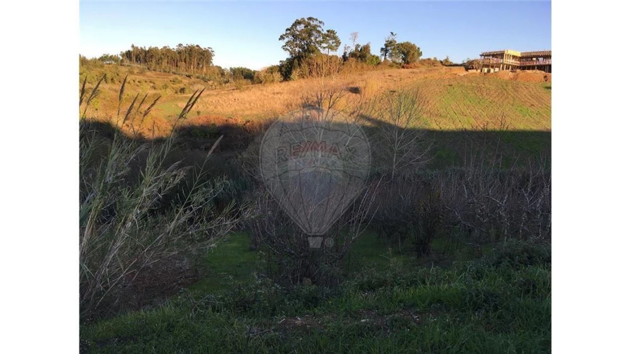 Terreno para Venda em Cela Foto 2