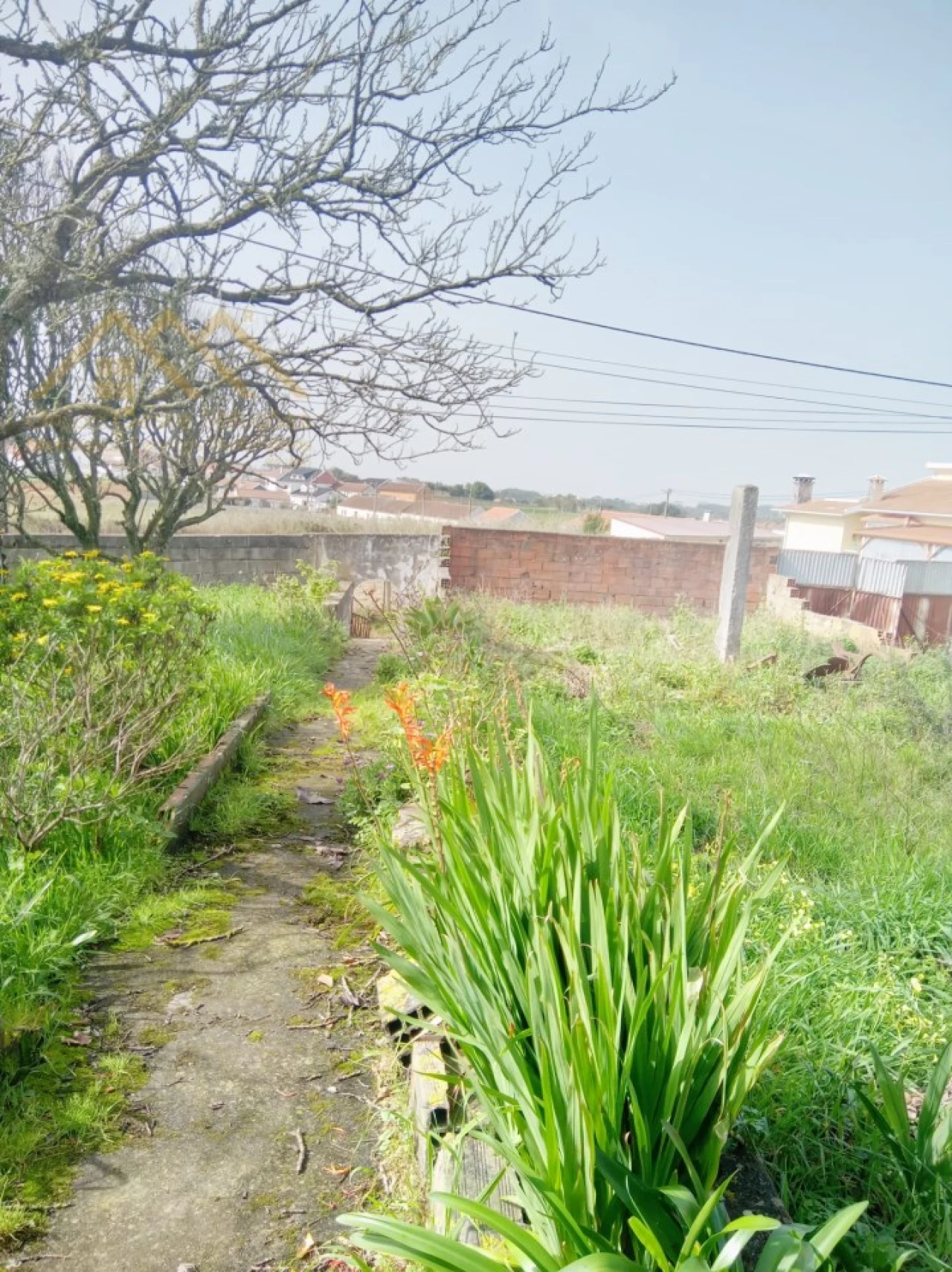 Armazém para Venda em Moita dos Ferreiros Foto 7