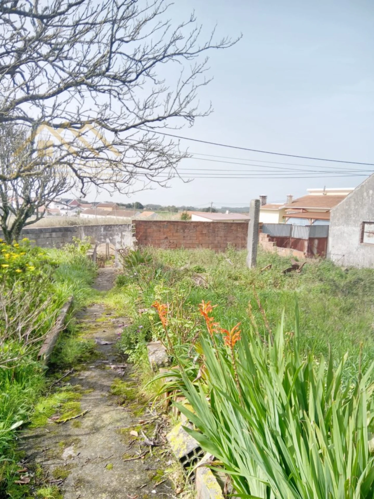 Armazém para Venda em Moita dos Ferreiros Foto 8