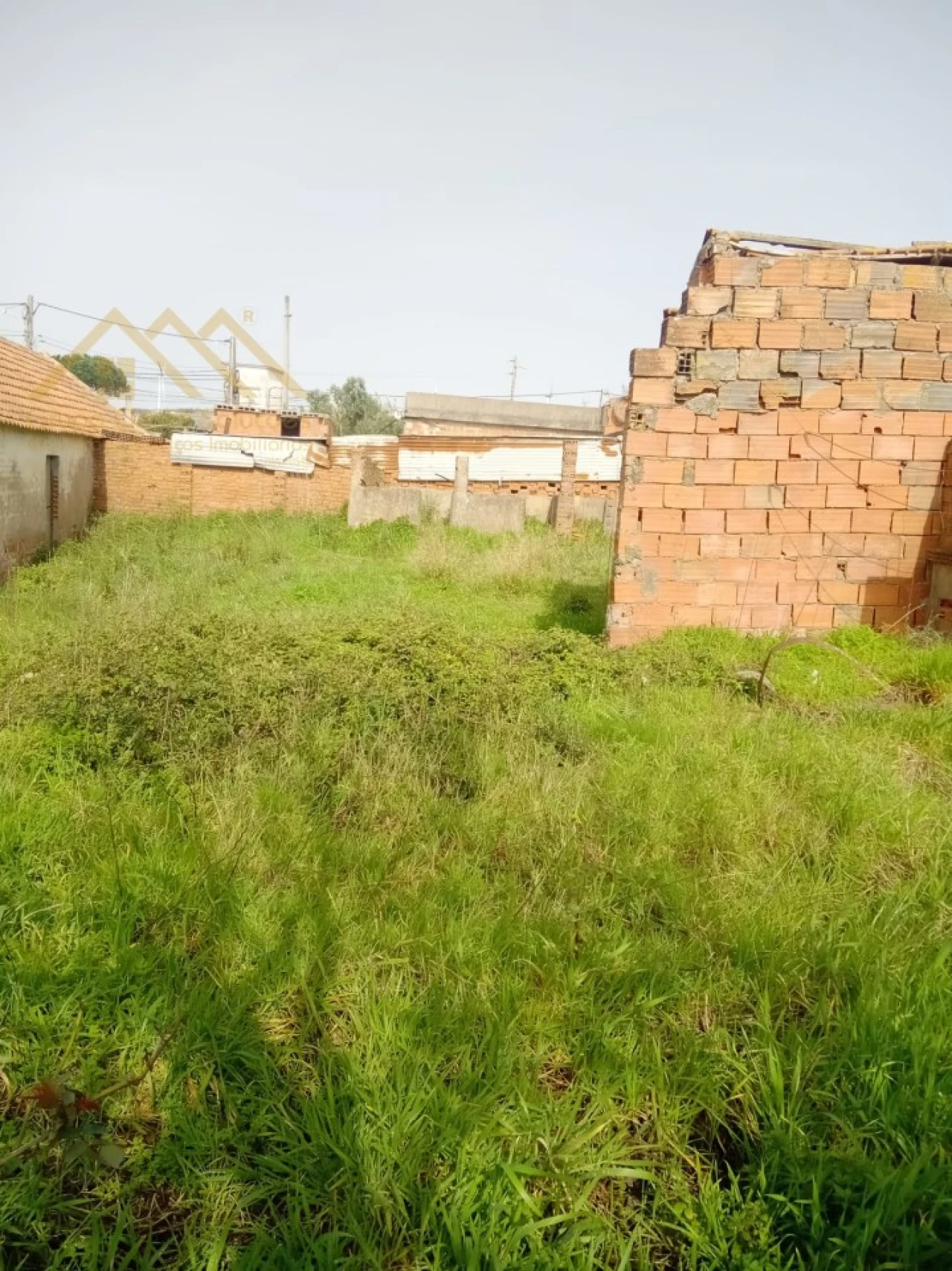 Armazém para Venda em Moita dos Ferreiros Foto 10