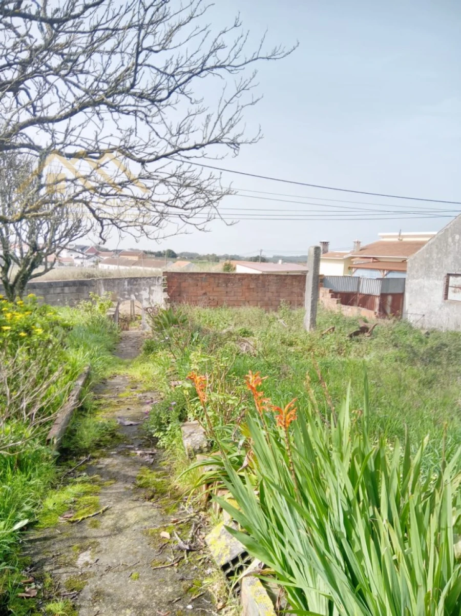Armazém para Venda em Moita dos Ferreiros Foto 8