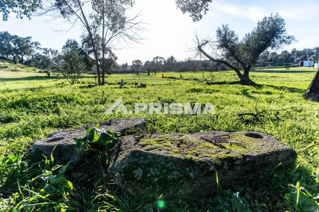 Terreno para Venda em Escalos de Cima e Lousa Foto 45