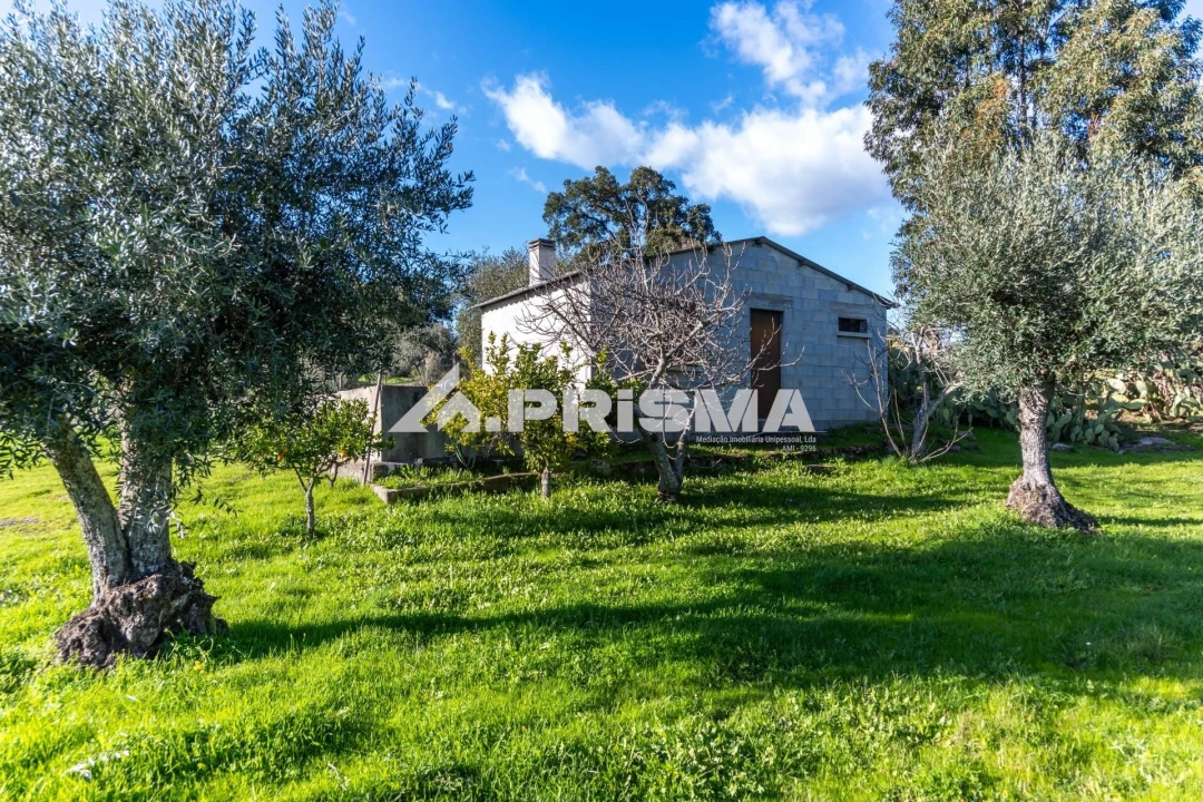 Terreno para Venda em Escalos de Cima e Lousa Foto 26