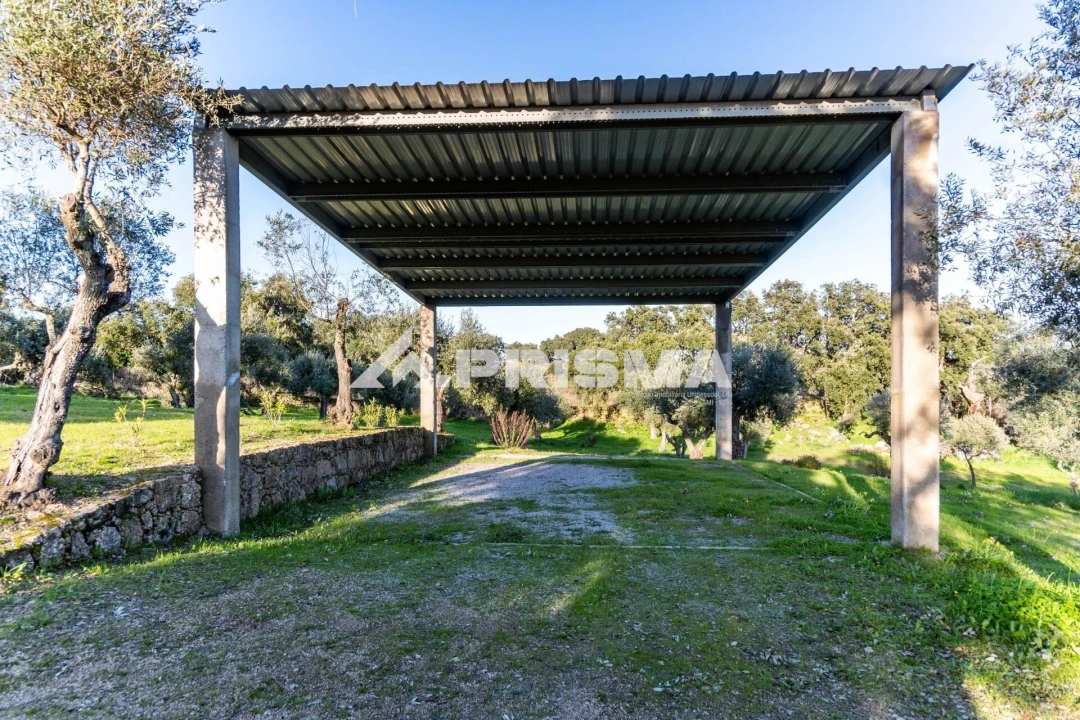 Terreno para Venda em Escalos de Cima e Lousa Foto 38