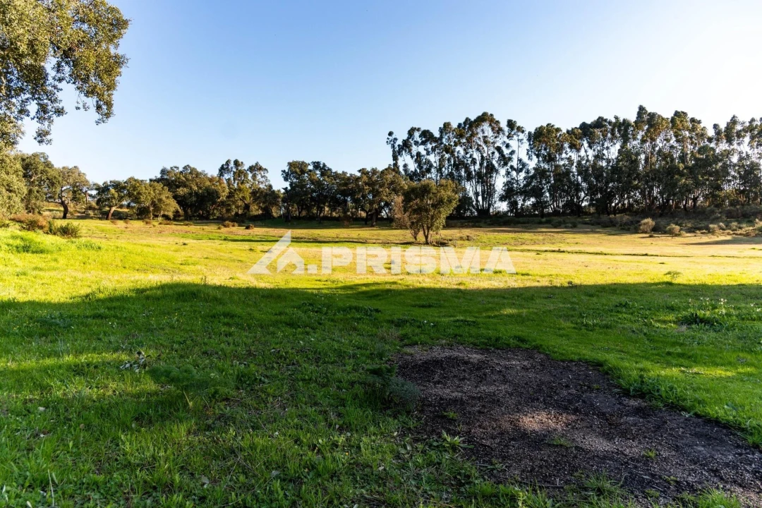 Terreno para Venda em Escalos de Cima e Lousa Foto 44