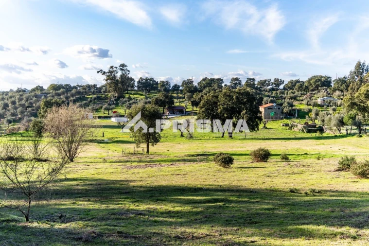 Terreno para Venda em Escalos de Cima e Lousa Foto 40