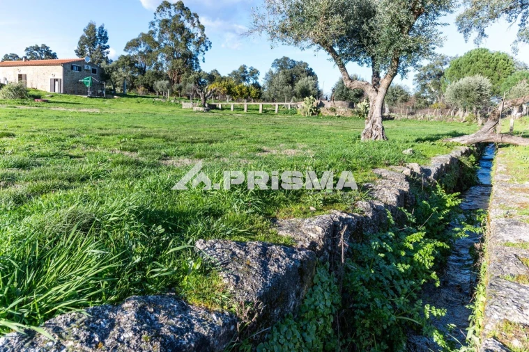 Terreno para Venda em Escalos de Cima e Lousa Foto 42