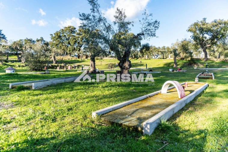 Terreno para Venda em Escalos de Cima e Lousa Foto 37