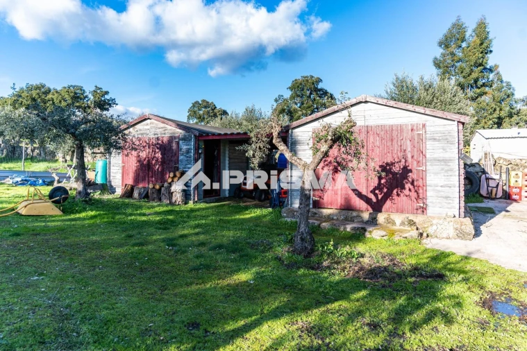 Terreno para Venda em Escalos de Cima e Lousa Foto 28