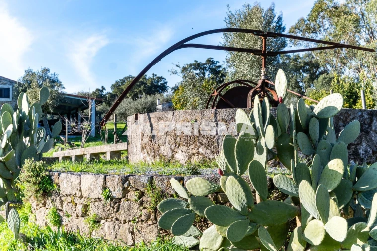 Terreno para Venda em Escalos de Cima e Lousa Foto 33