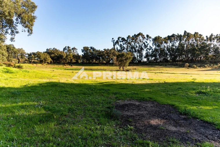 Terreno para Venda em Escalos de Cima e Lousa Foto 44