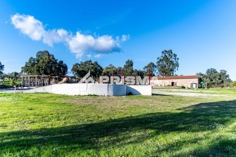 Terreno para Venda em Escalos de Cima e Lousa Foto 32