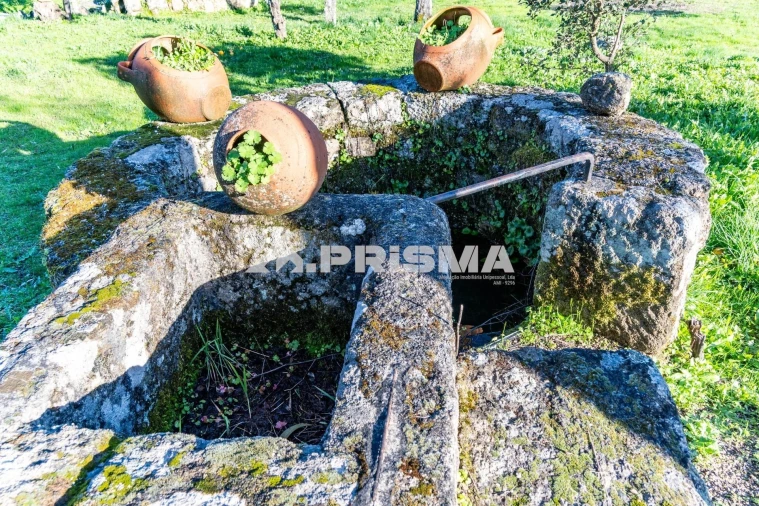 Terreno para Venda em Escalos de Cima e Lousa Foto 34