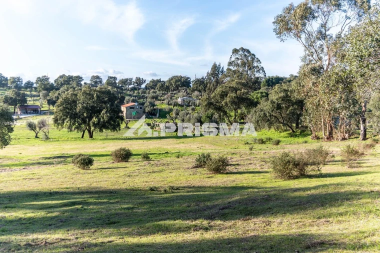 Terreno para Venda em Escalos de Cima e Lousa Foto 39