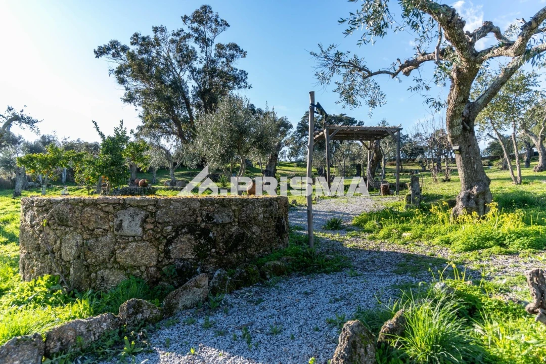 Terreno para Venda em Escalos de Cima e Lousa Foto 35
