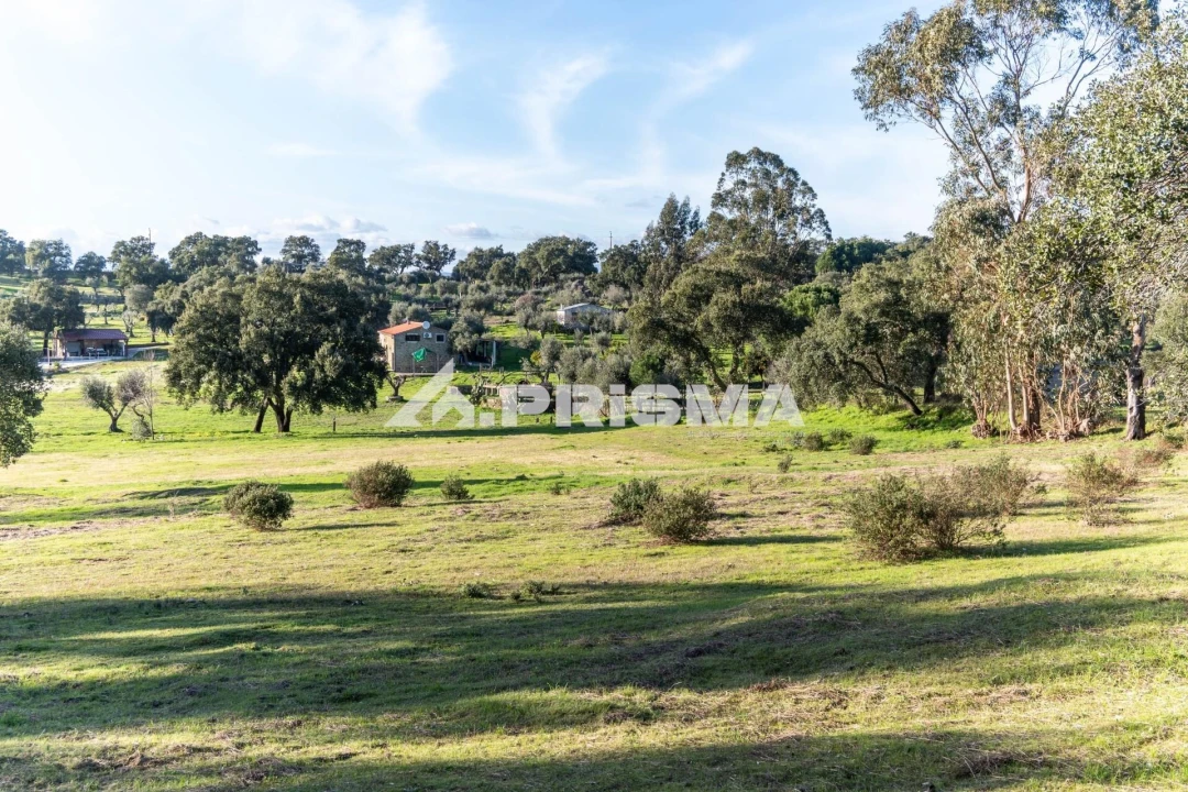 Terreno para Venda em Escalos de Cima e Lousa Foto 39