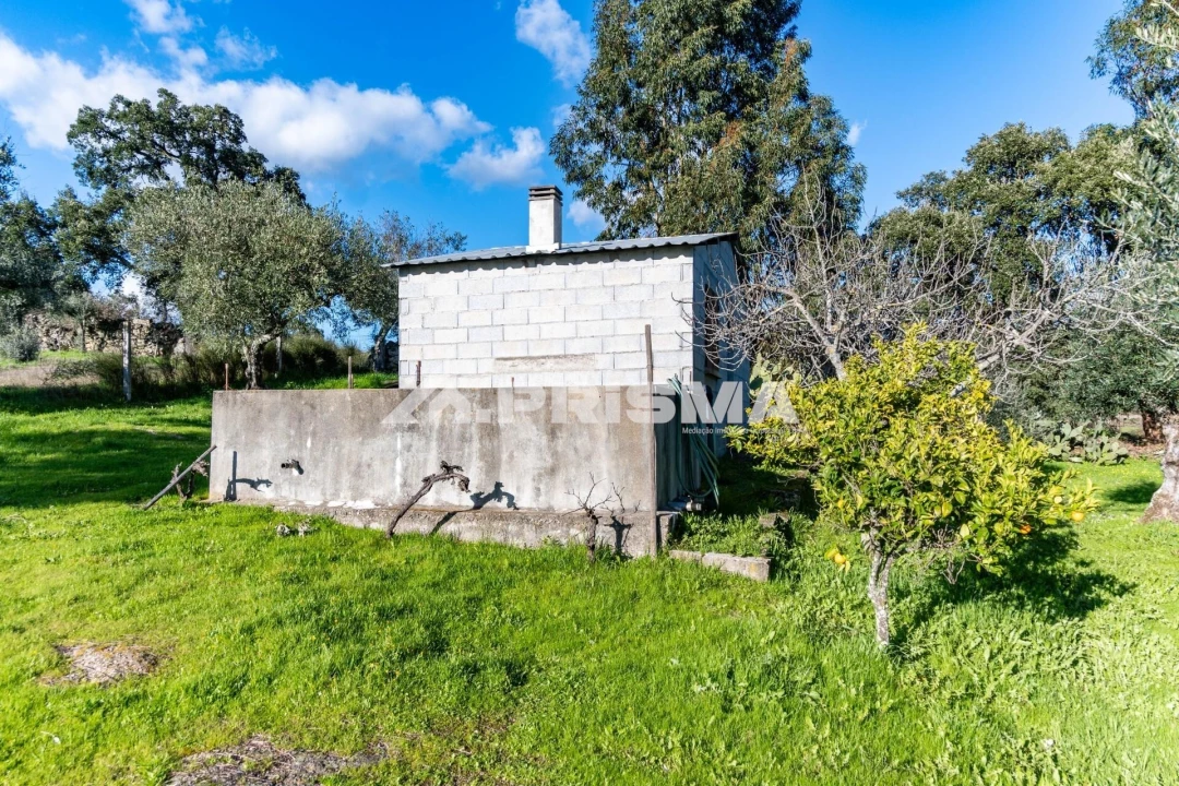 Terreno para Venda em Escalos de Cima e Lousa Foto 27