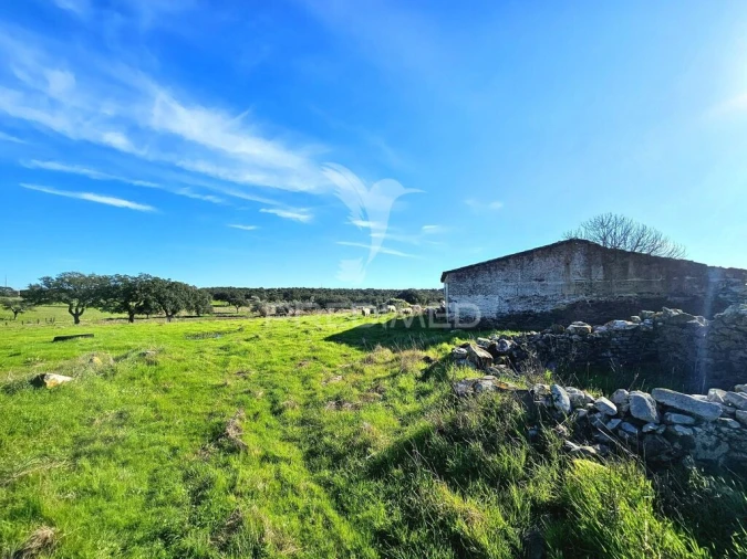 Quinta para Venda em Ourique Foto 10