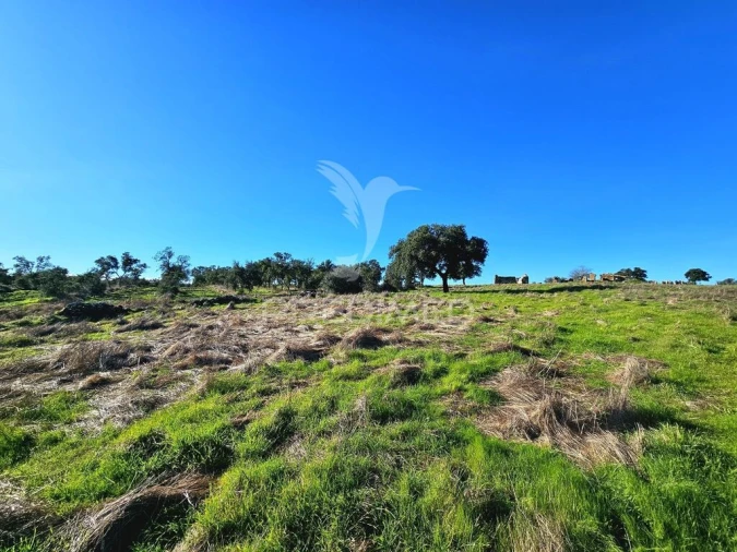 Quinta para Venda em Ourique Foto 7