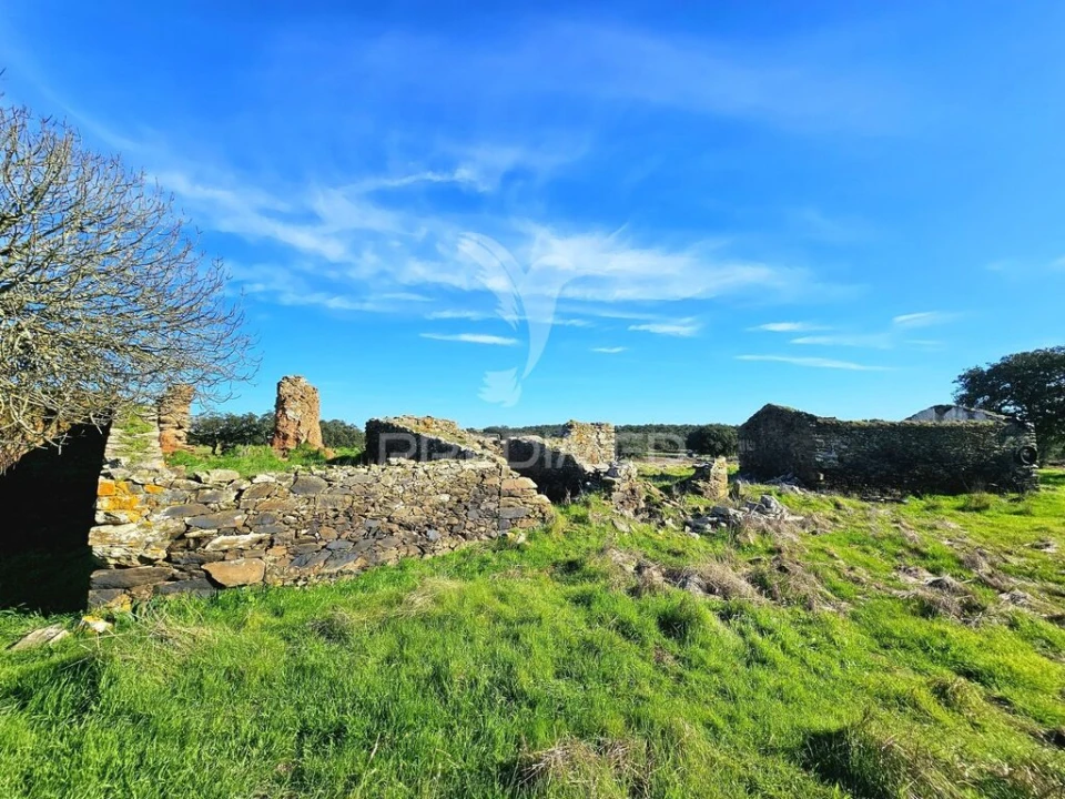 Quinta para Venda em Ourique Foto 5