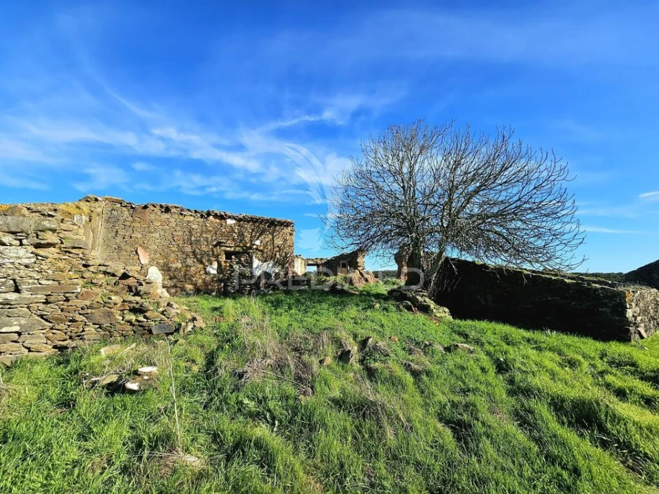 Quinta para Venda em Ourique Foto 4