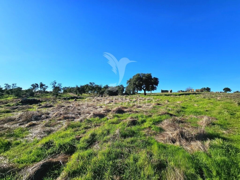 Quinta para Venda em Ourique Foto 7