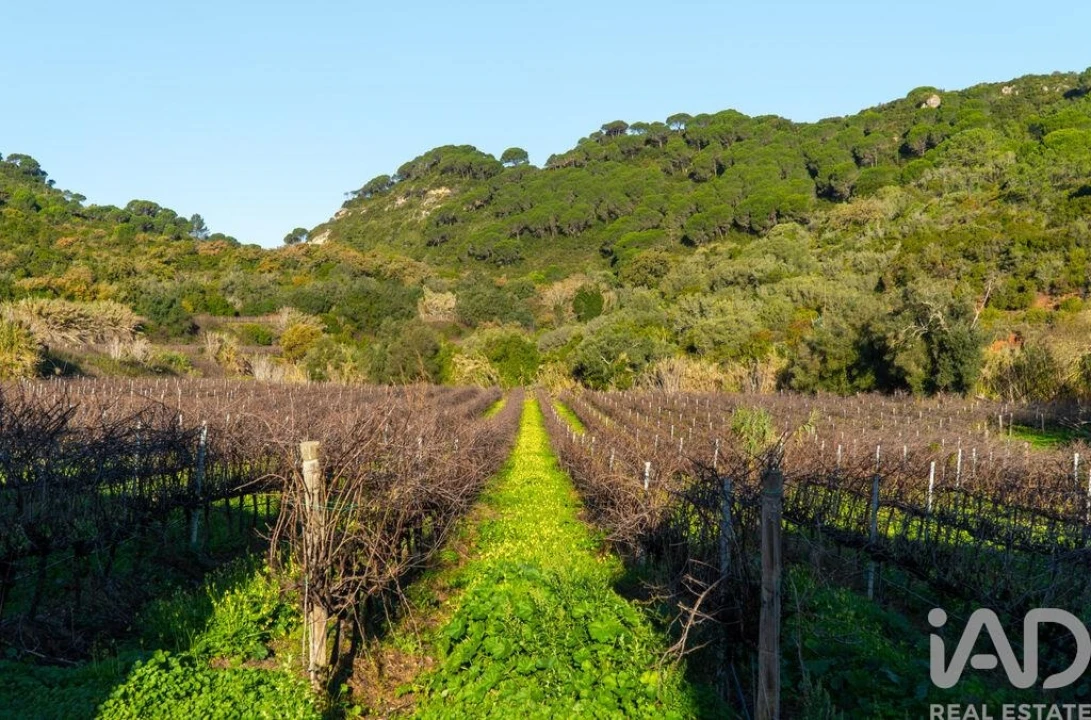 Quinta T4 para Venda em União das Freguesias de Setúbal Foto 38