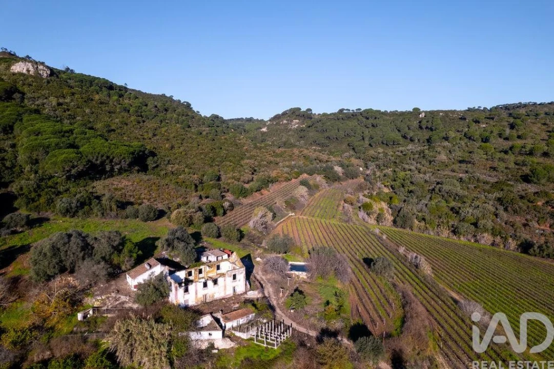 Quinta T4 para Venda em União das Freguesias de Setúbal Foto 4