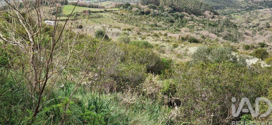 Terreno para Venda em Mafra Foto 15