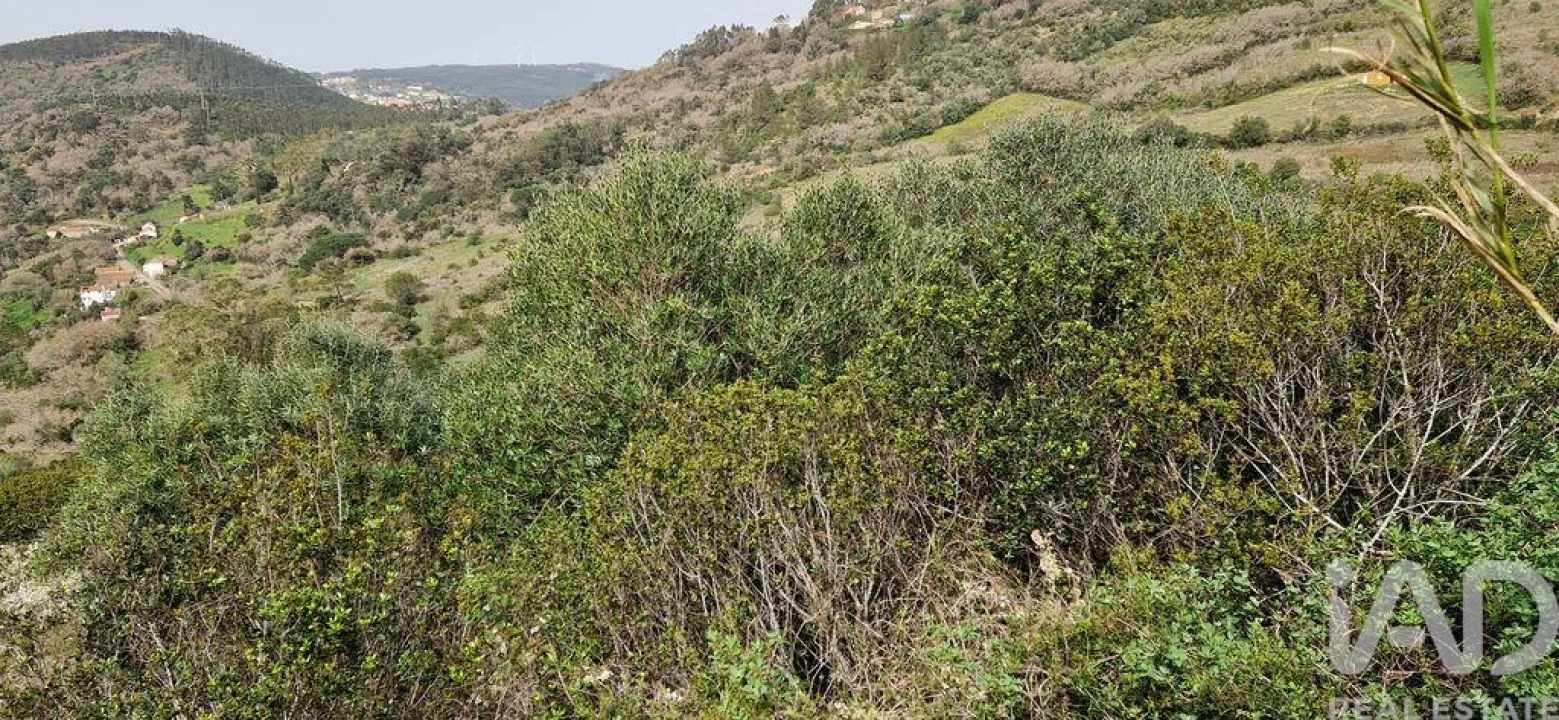 Terreno para Venda em Mafra Foto 14