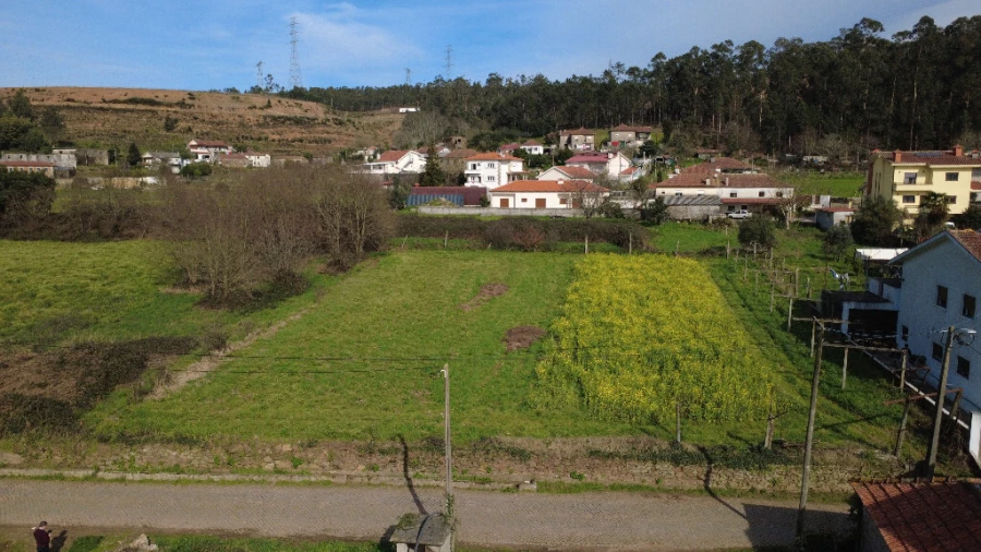 Terreno para Venda em Campo e Sobrado Foto 4