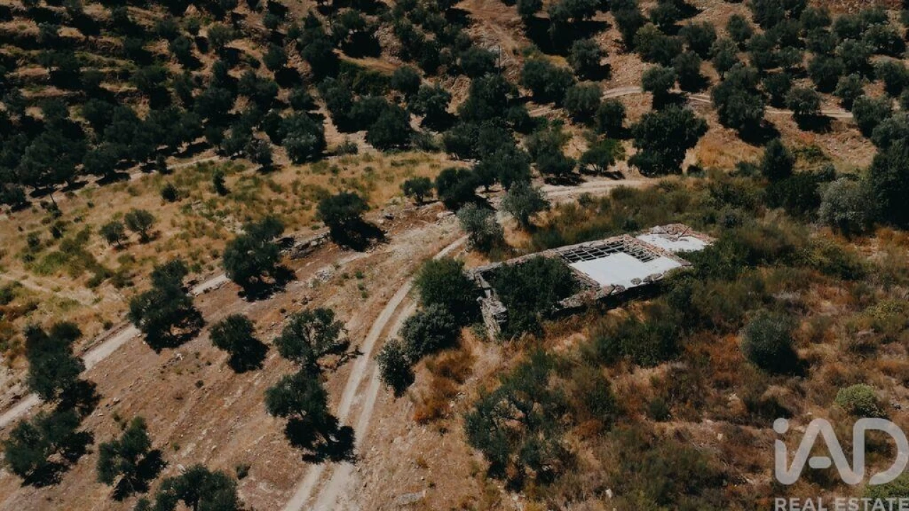 Quinta para Venda em Vila Seca e Santo Adrião Foto 5