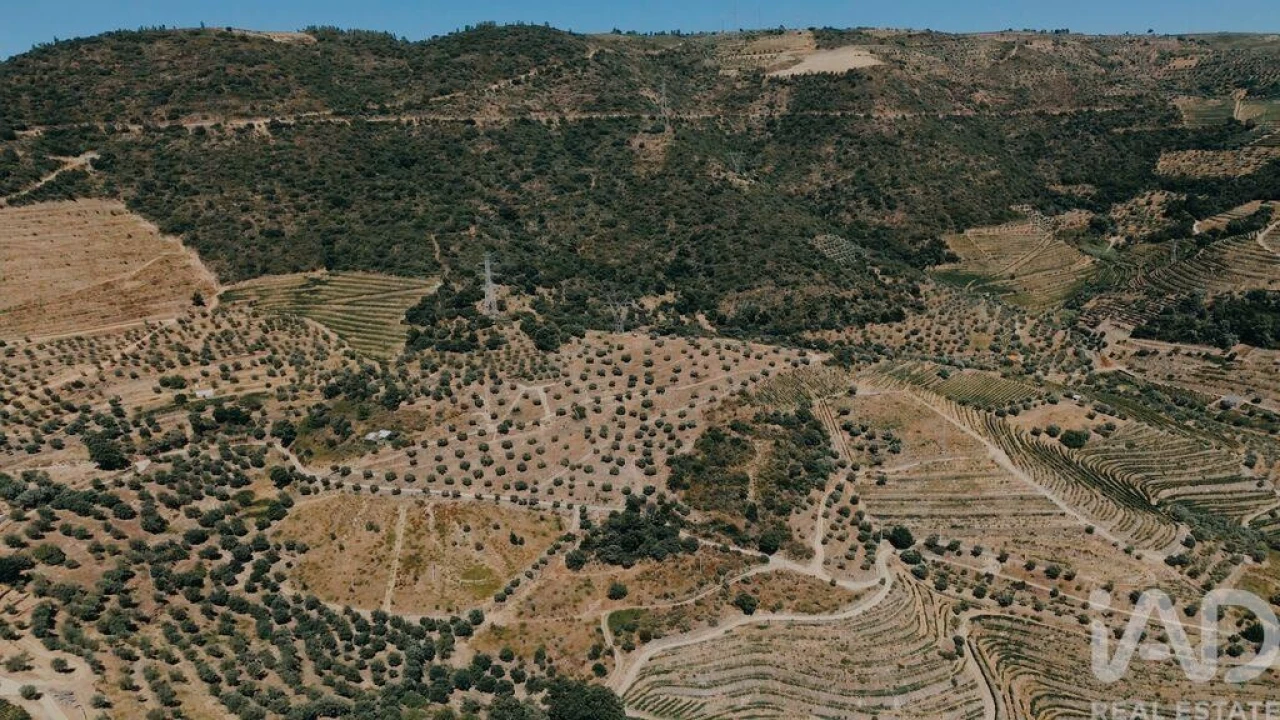 Quinta para Venda em Vila Seca e Santo Adrião Foto 8