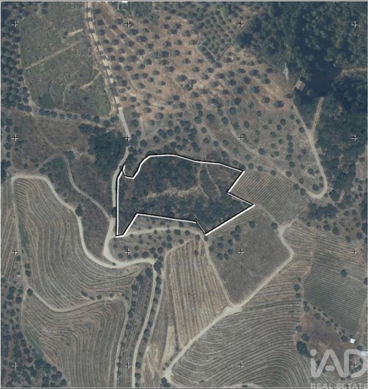 Quinta para Venda em Vila Seca e Santo Adrião Foto 21