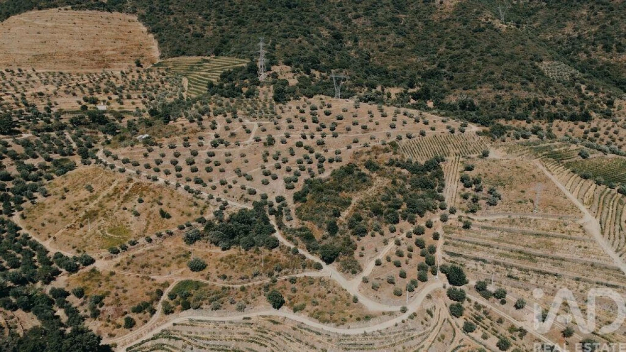 Quinta para Venda em Vila Seca e Santo Adrião Foto 9