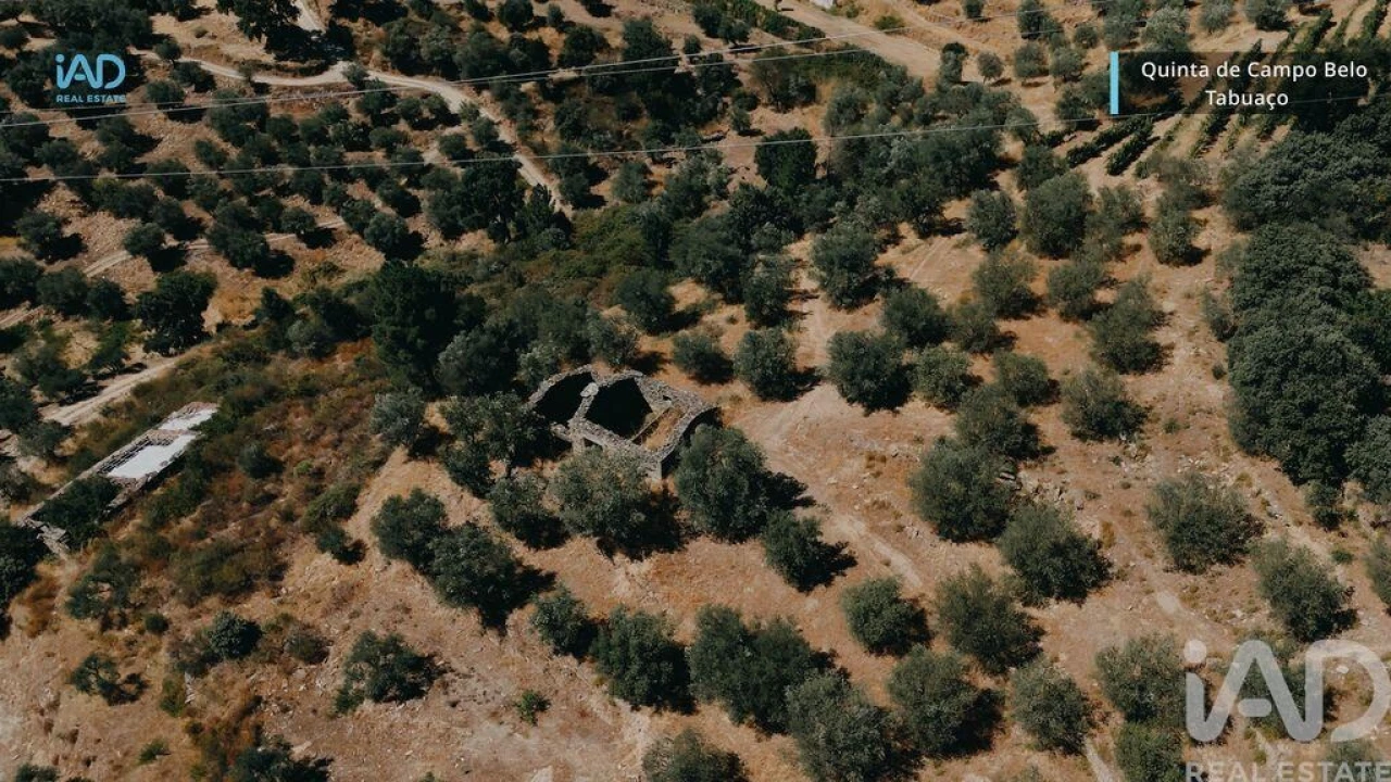 Quinta para Venda em Vila Seca e Santo Adrião Foto 13