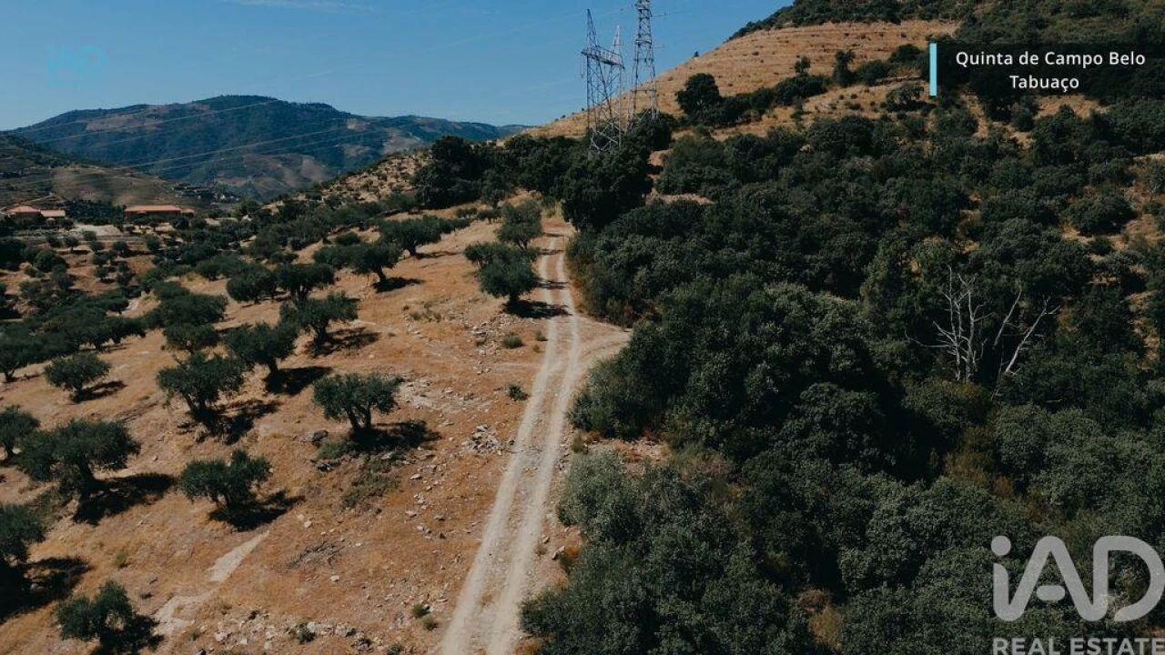 Quinta para Venda em Vila Seca e Santo Adrião Foto 12