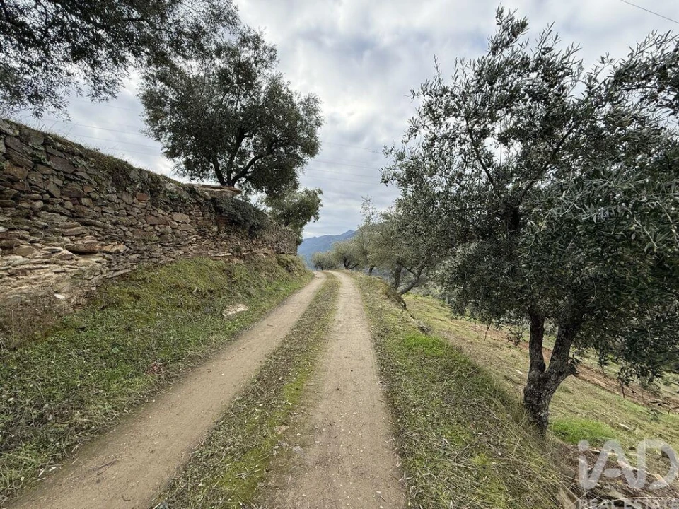 Quinta para Venda em Vila Seca e Santo Adrião Foto 4