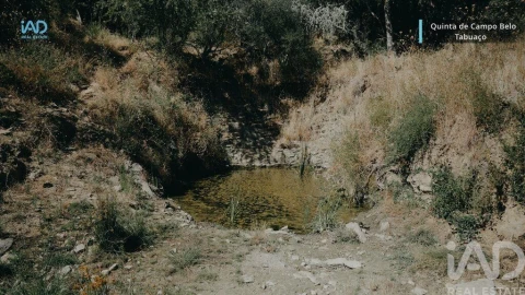 Quinta para Venda em Vila Seca e Santo Adrião