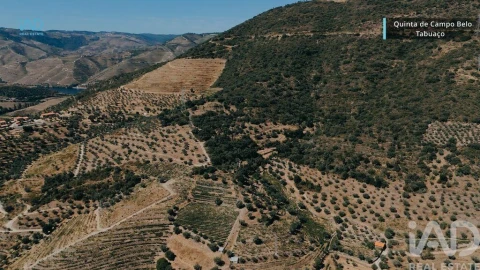 Quinta para Venda em Vila Seca e Santo Adrião