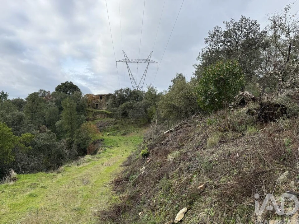 Quinta para Venda em Vila Seca e Santo Adrião Foto 15