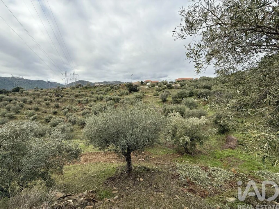 Quinta para Venda em Vila Seca e Santo Adrião Foto 5