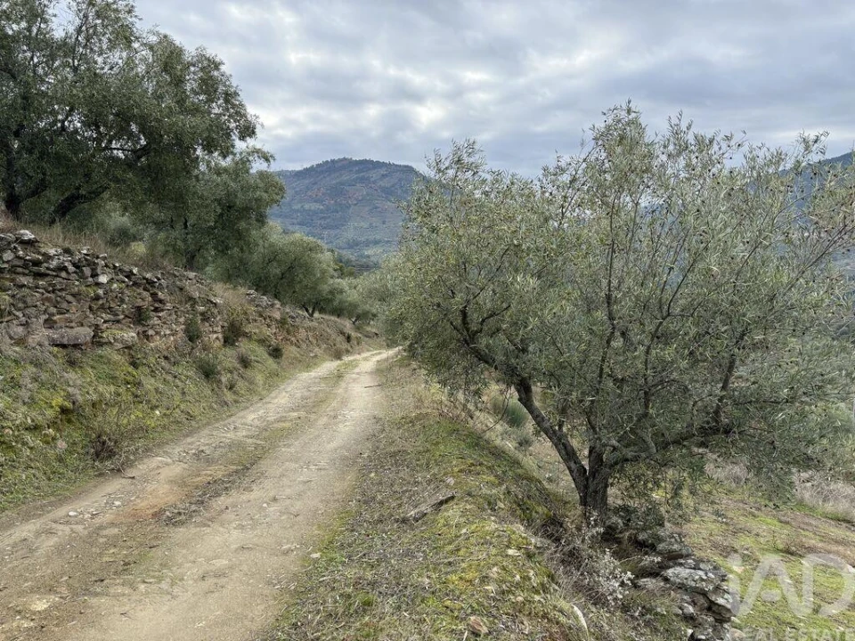 Quinta para Venda em Vila Seca e Santo Adrião Foto 9
