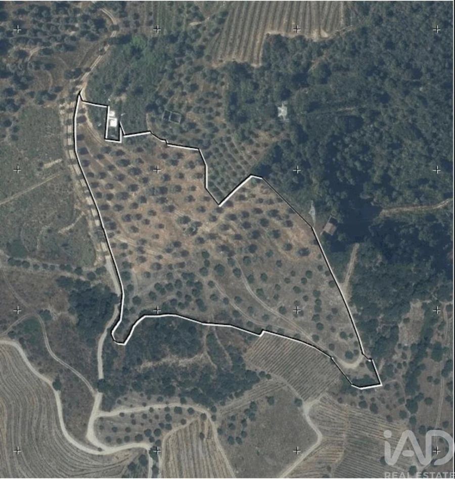 Quinta para Venda em Vila Seca e Santo Adrião Foto 23