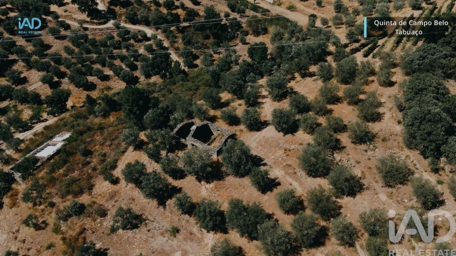 Quinta para Venda em Vila Seca e Santo Adrião Foto 13