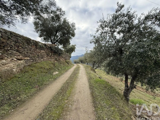 Quinta para Venda em Vila Seca e Santo Adrião Foto 4