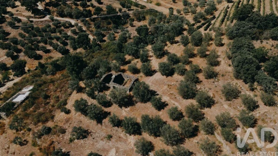 Quinta para Venda em Vila Seca e Santo Adrião Foto 4