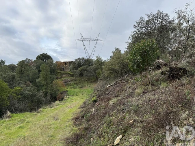 Quinta para Venda em Vila Seca e Santo Adrião Foto 15