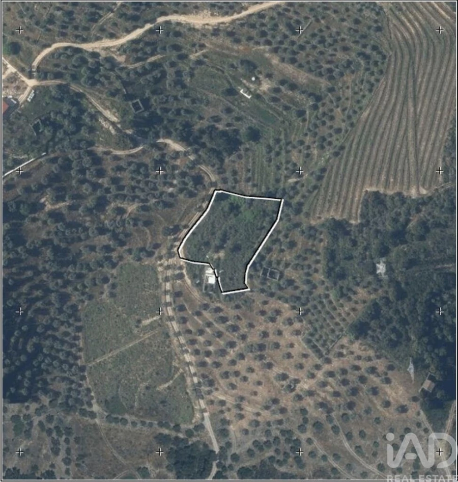 Quinta para Venda em Vila Seca e Santo Adrião Foto 20