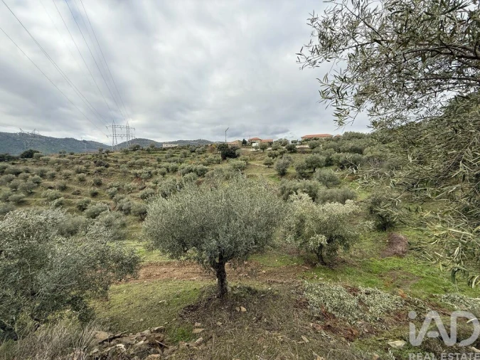Quinta para Venda em Vila Seca e Santo Adrião Foto 5